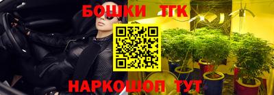 мдпв Боровичи
