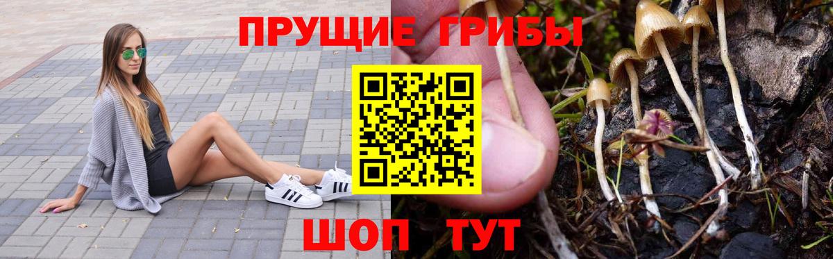 Ачинск  Псилоцибиновые грибы Cubensis  Вход с VPN 