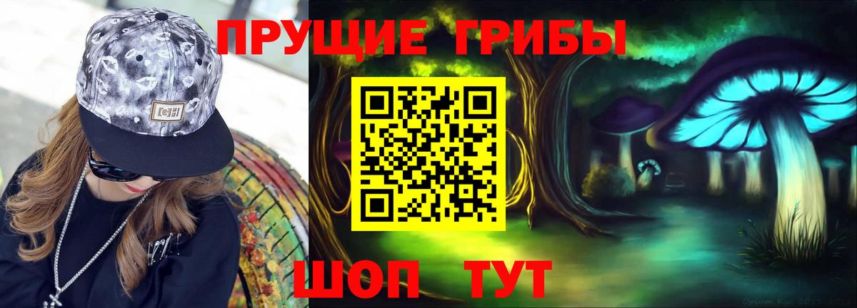 Псилоцибиновые грибы Psilocybine cubensis Ачинск